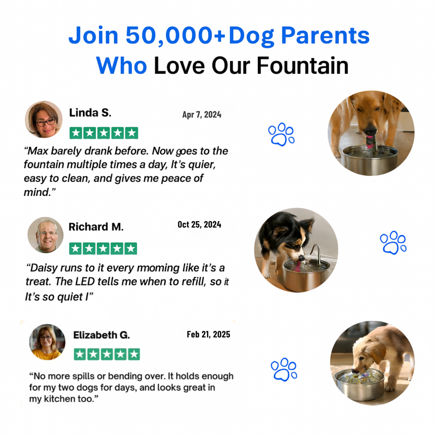 Purify Fountain